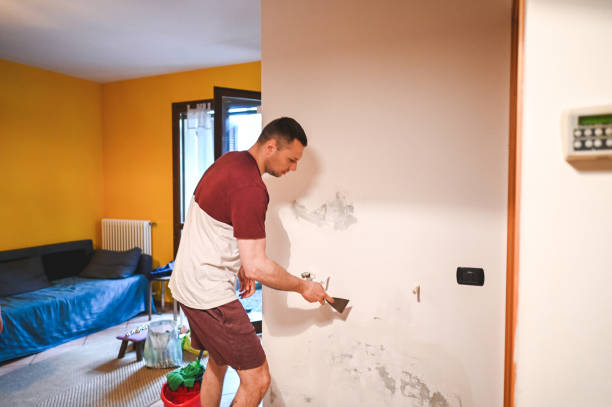 Best Kitchen Mold Remediation in Roswell, GA